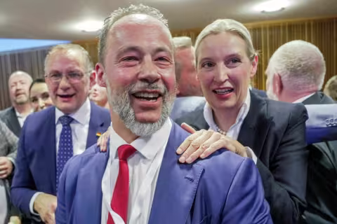 AfD Rheinland Pfalz aus der TAZ